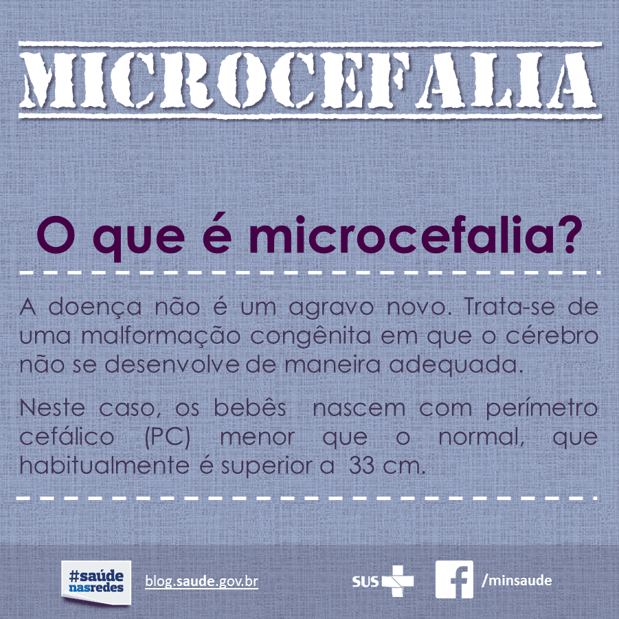 Microcefalia 01