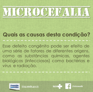 Microcefalia_02